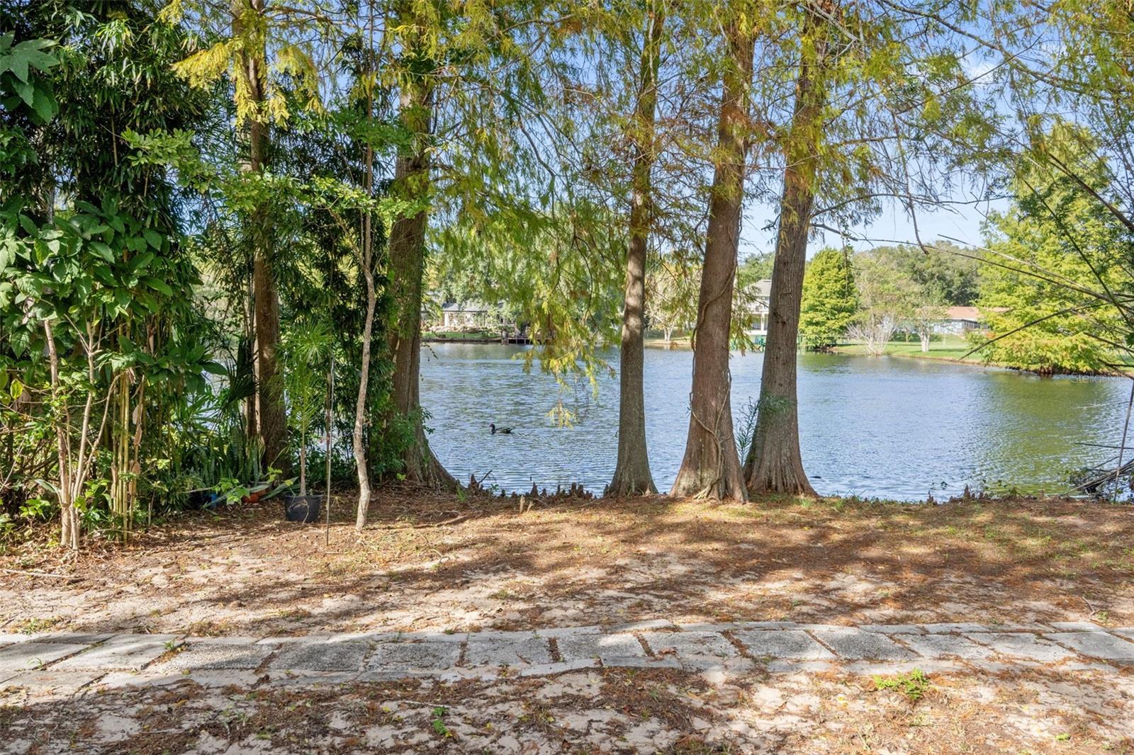 16849 OMEGA CT, MONTVERDE, FL, 34756