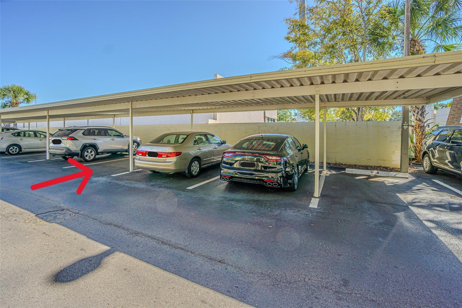 2302 S MANHATTAN AVE #219, TAMPA, FL, 33629