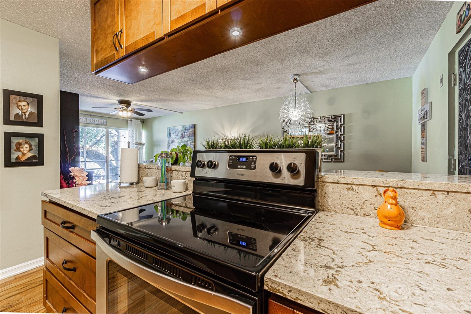 2302 S MANHATTAN AVE #219, TAMPA, FL, 33629