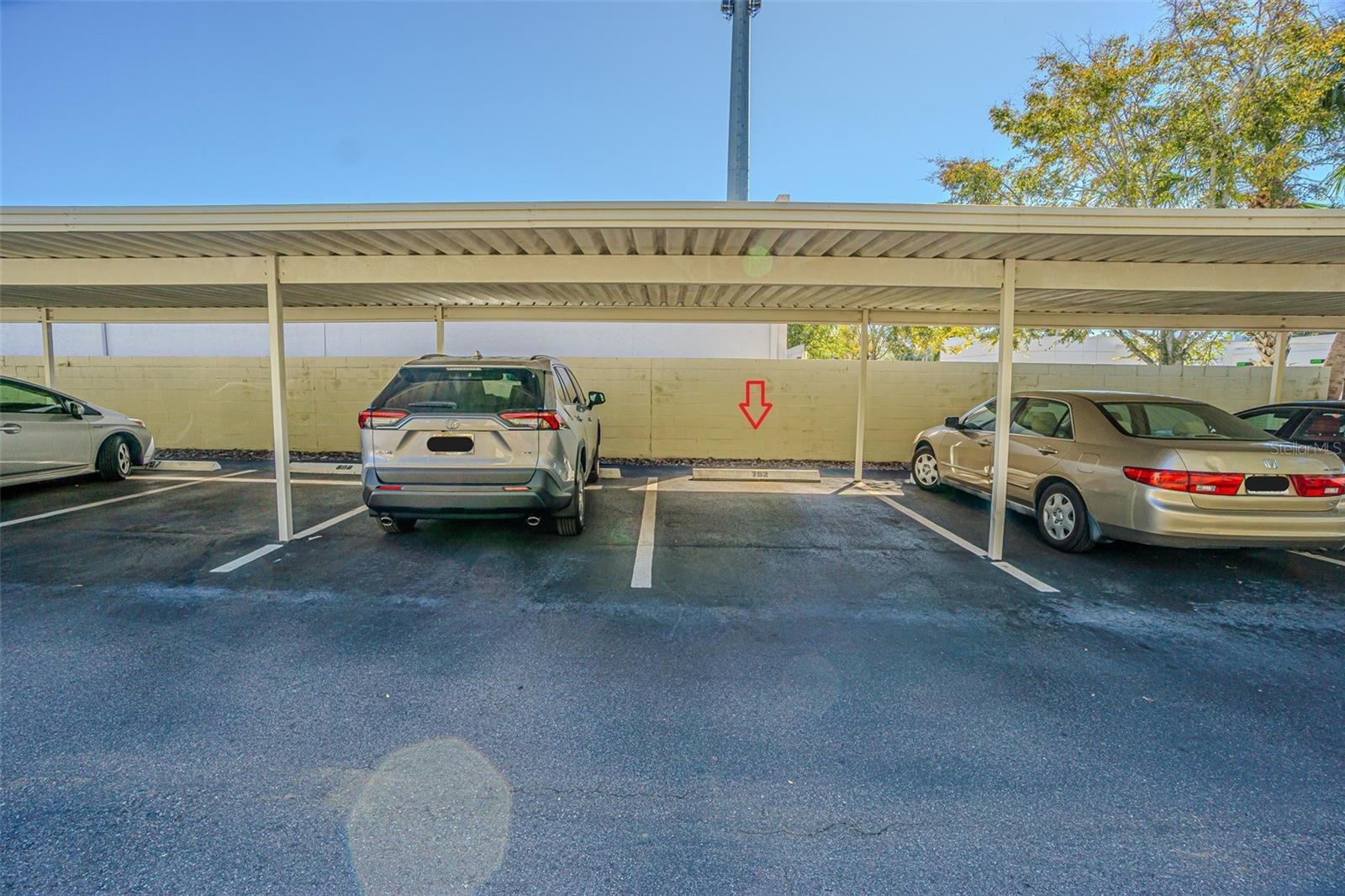 2302 S MANHATTAN AVE #219, TAMPA, FL, 33629