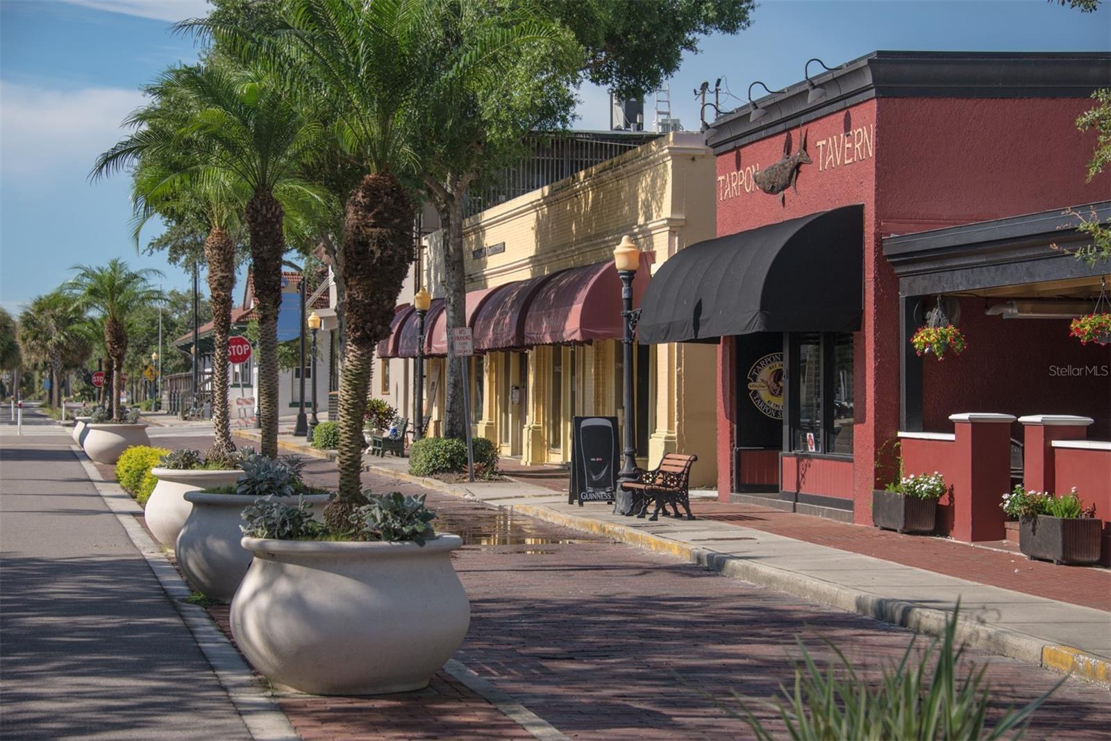 46 DRURY LN, TARPON SPRINGS, FL, 34689