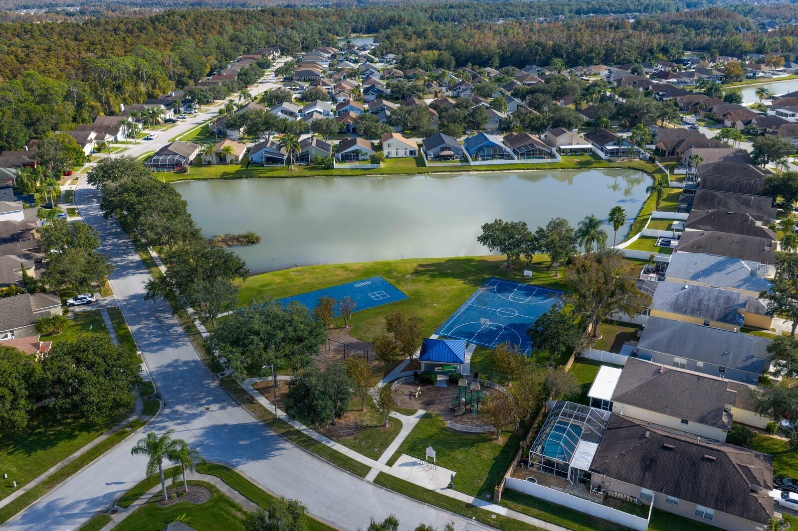 29321 YARROW DR, WESLEY CHAPEL, FL, 33543