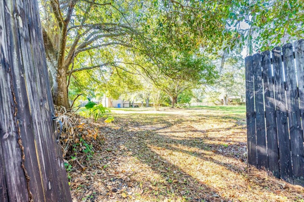 12508 PALOMINO CT, TAMPA, FL, 33626