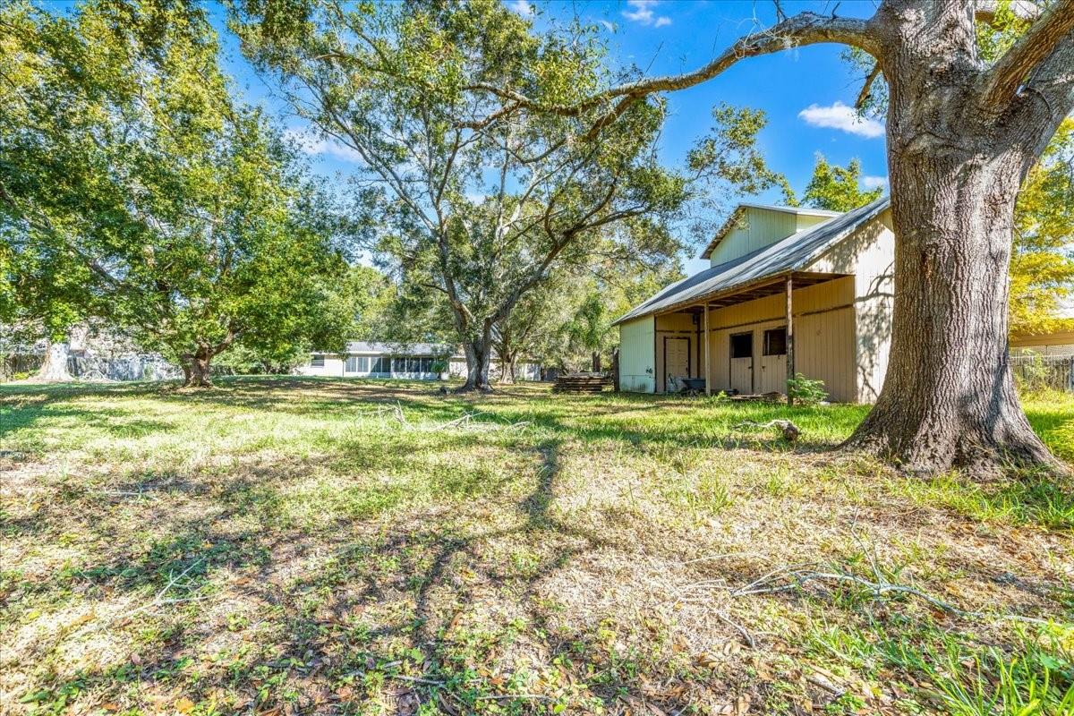 12508 PALOMINO CT, TAMPA, FL, 33626