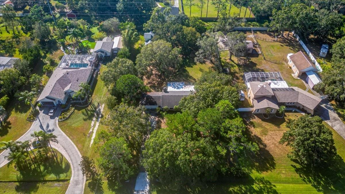 12508 PALOMINO CT, TAMPA, FL, 33626