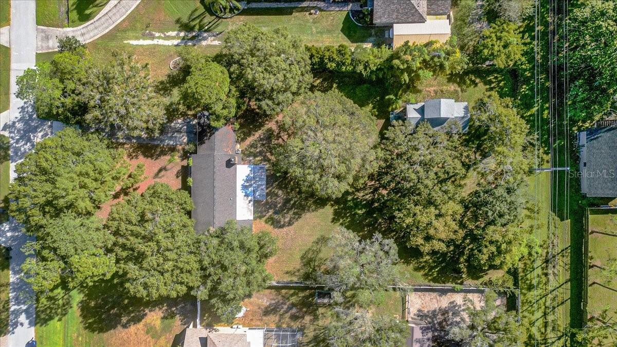 12508 PALOMINO CT, TAMPA, FL, 33626