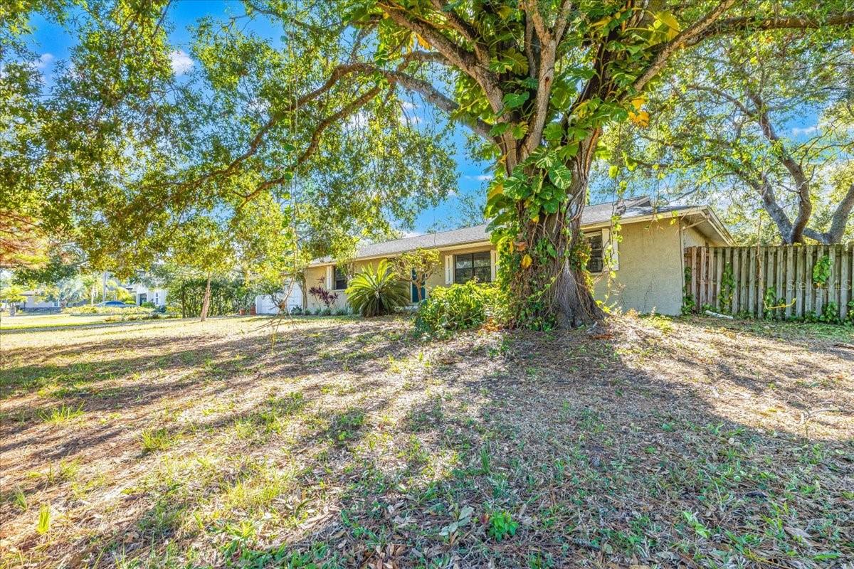 12508 PALOMINO CT, TAMPA, FL, 33626