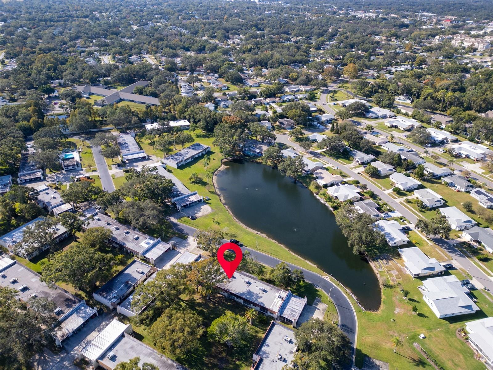 3109 MISSION GROVE DR #D, PALM HARBOR, FL, 34684