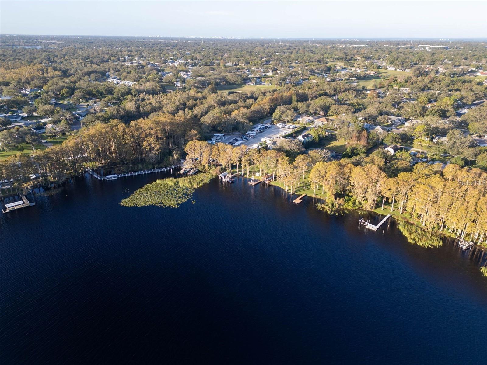 3109 MISSION GROVE DR #D, PALM HARBOR, FL, 34684