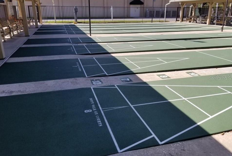 3109 MISSION GROVE DR #D, PALM HARBOR, FL, 34684