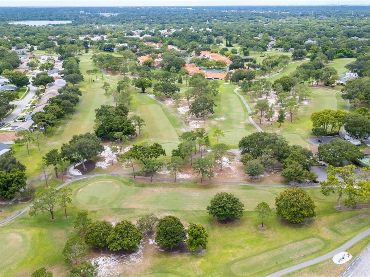 3109 MISSION GROVE DR #D, PALM HARBOR, FL, 34684