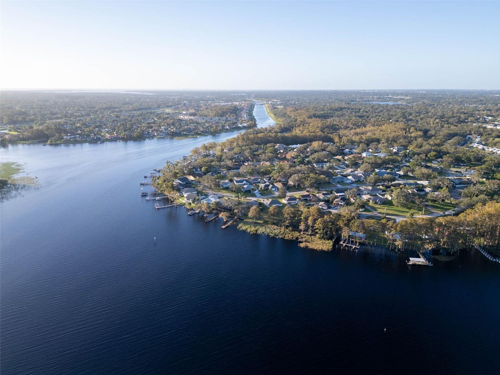 3109 MISSION GROVE DR #D, PALM HARBOR, FL, 34684