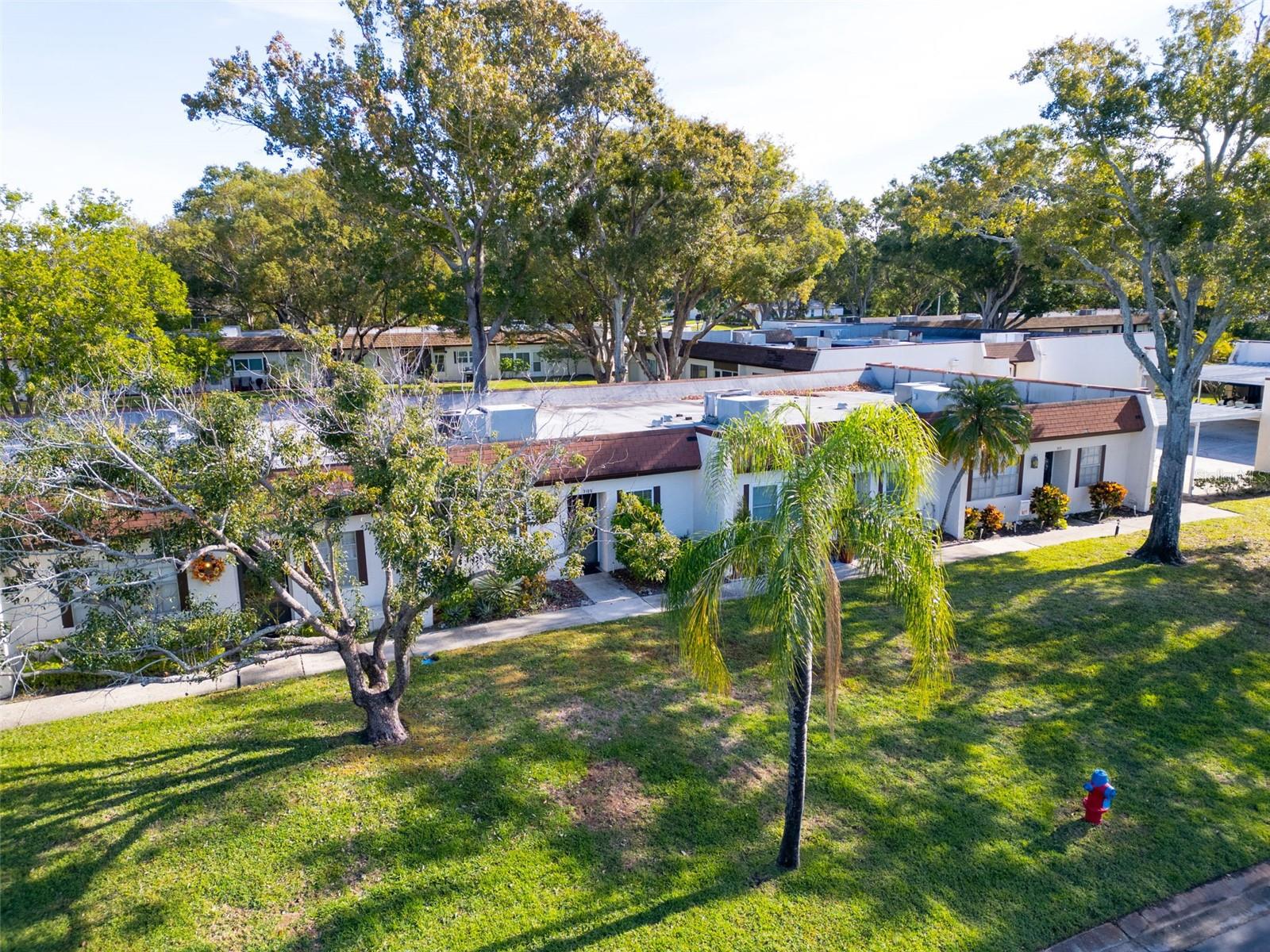 3109 MISSION GROVE DR #D, PALM HARBOR, FL, 34684