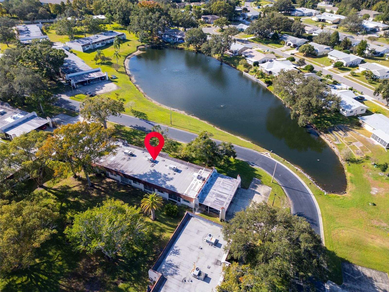 3109 MISSION GROVE DR #D, PALM HARBOR, FL, 34684