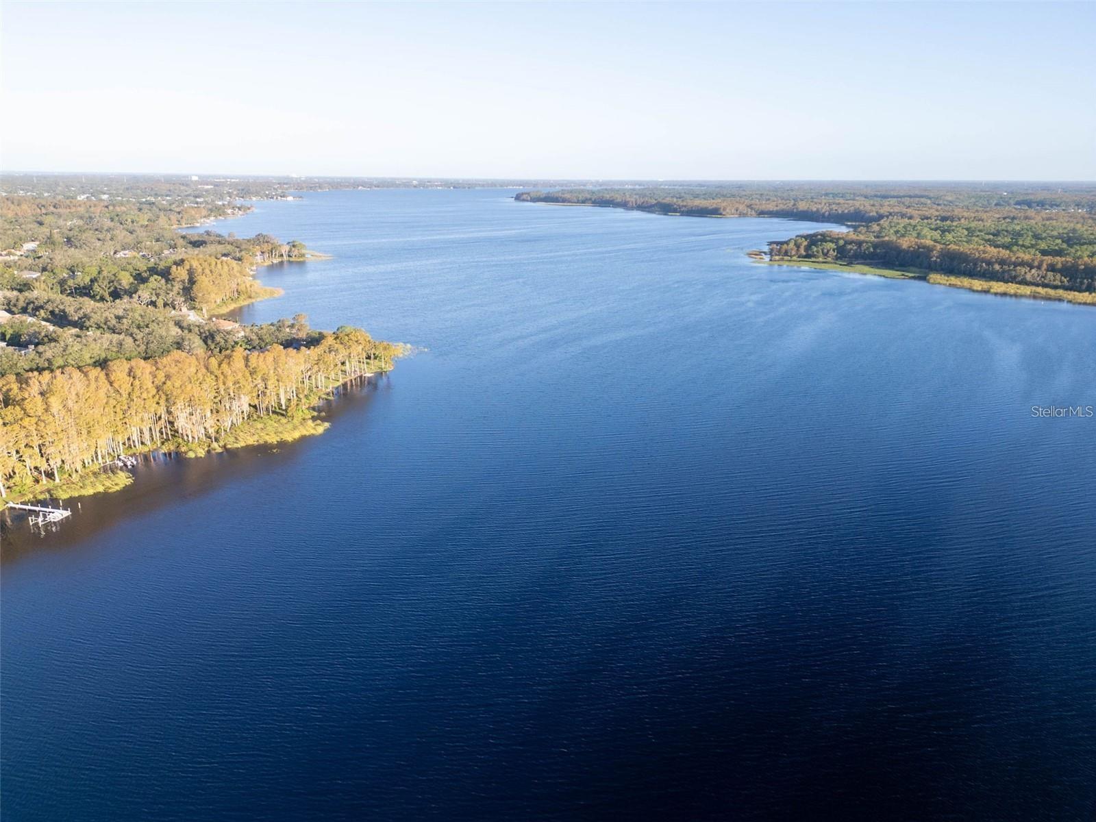 3109 MISSION GROVE DR #D, PALM HARBOR, FL, 34684