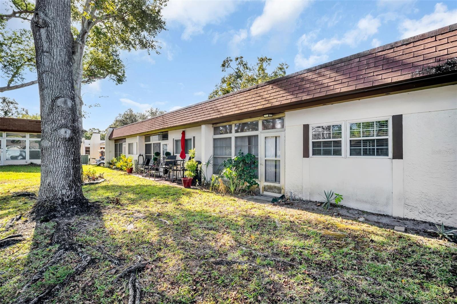 3109 MISSION GROVE DR #D, PALM HARBOR, FL, 34684