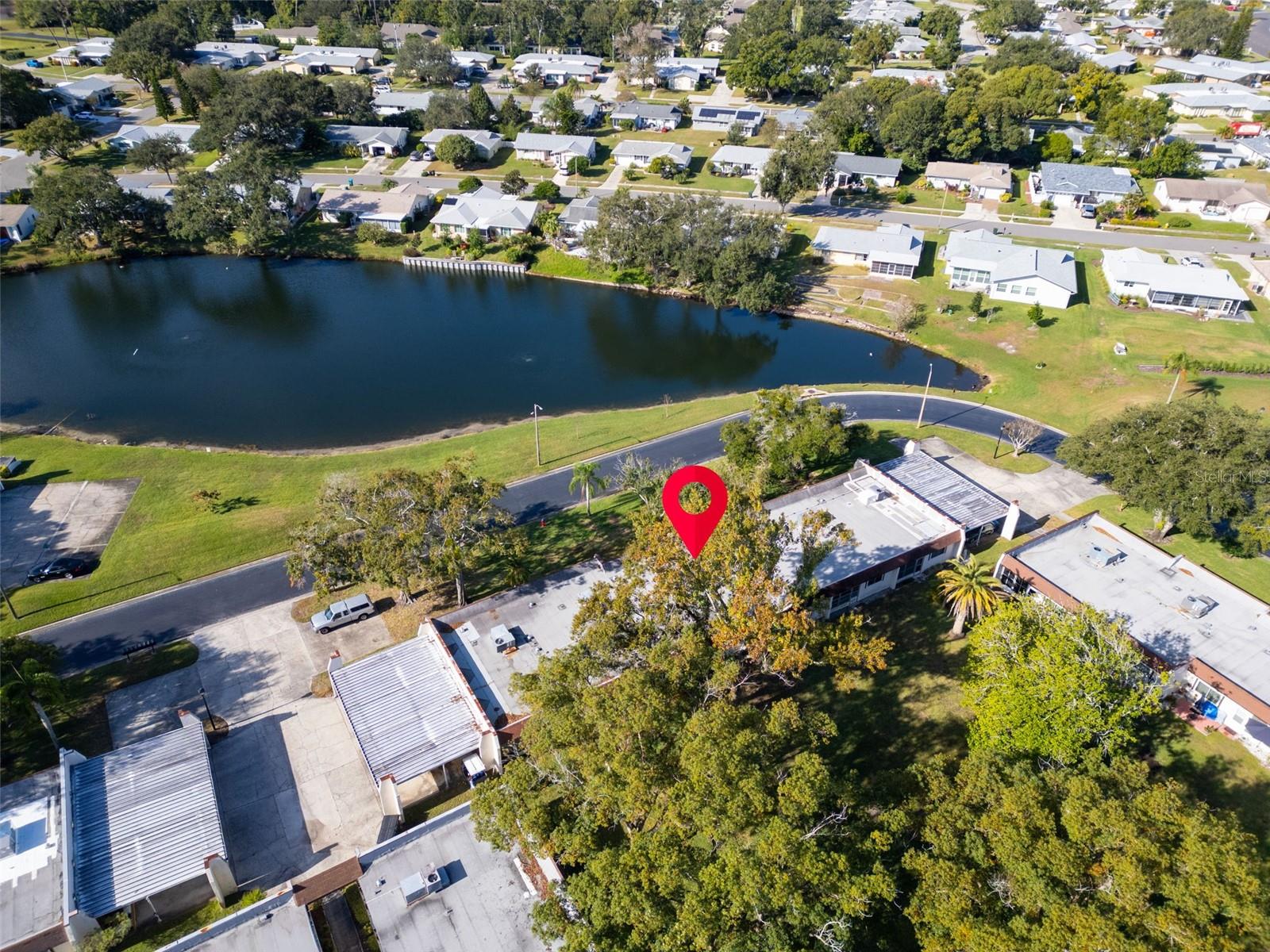 3109 MISSION GROVE DR #D, PALM HARBOR, FL, 34684