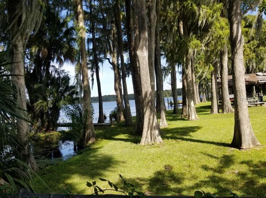 3109 MISSION GROVE DR #D, PALM HARBOR, FL, 34684