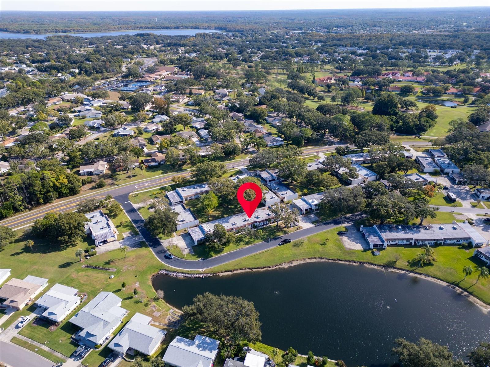 3109 MISSION GROVE DR #D, PALM HARBOR, FL, 34684