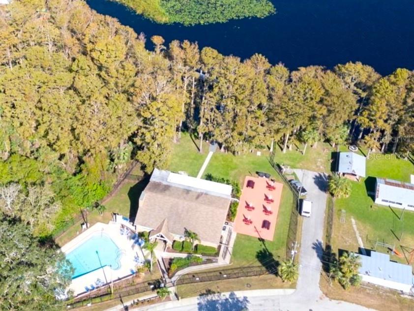 3109 MISSION GROVE DR #D, PALM HARBOR, FL, 34684