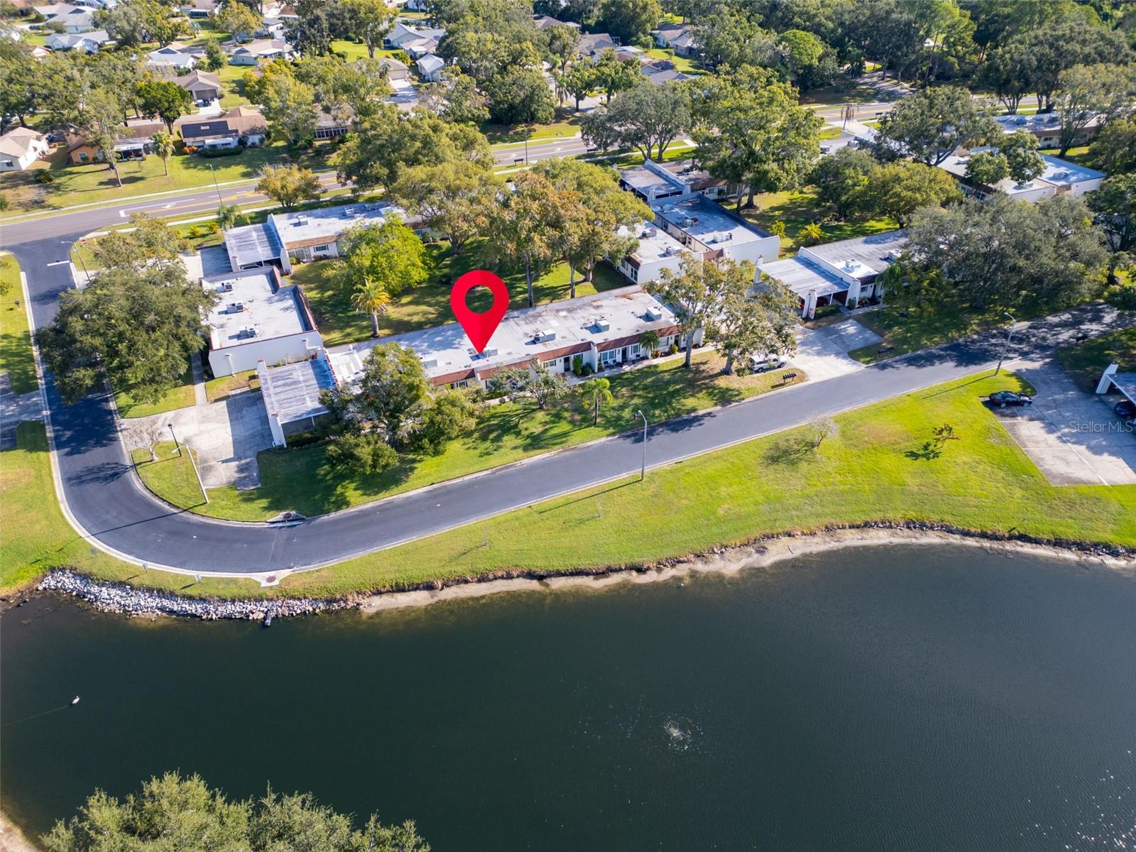 3109 MISSION GROVE DR #D, PALM HARBOR, FL, 34684