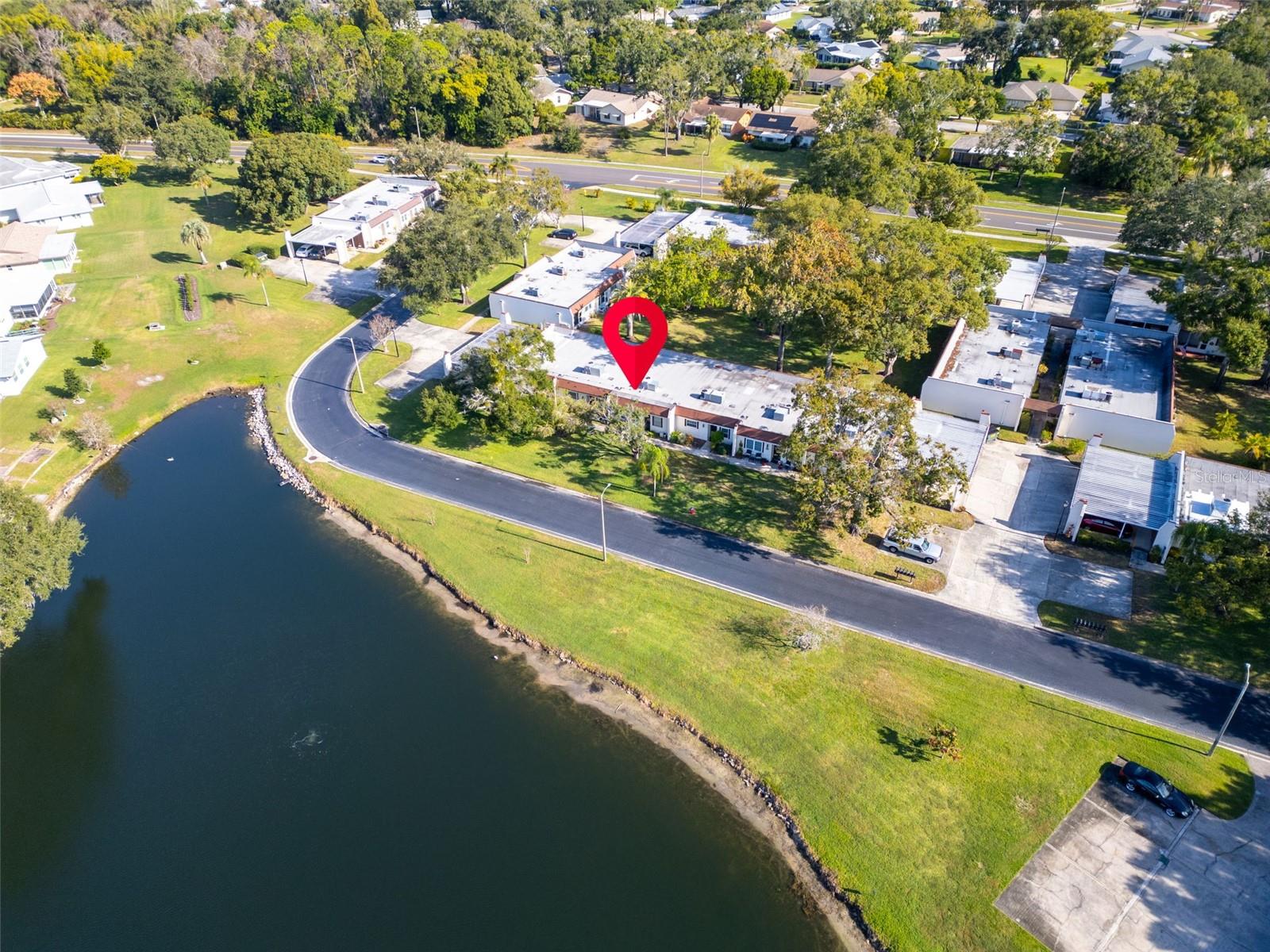 3109 MISSION GROVE DR #D, PALM HARBOR, FL, 34684