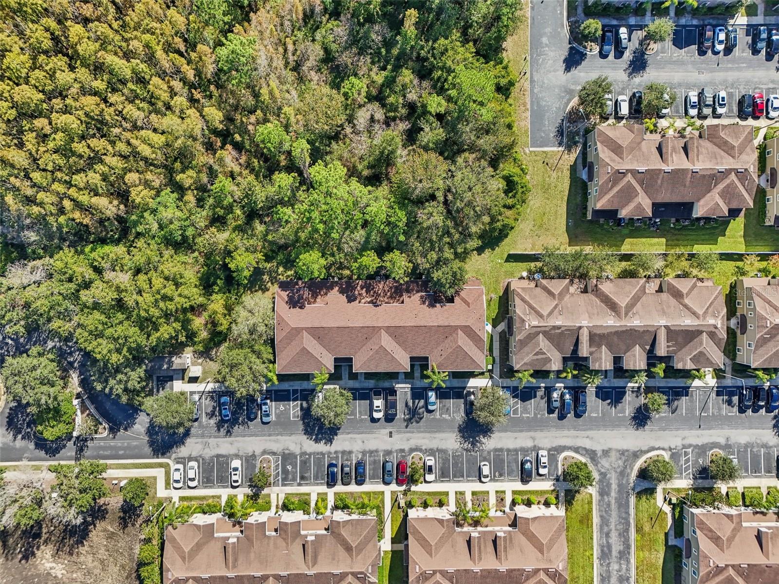 31234 CLARIDGE PL, WESLEY CHAPEL, FL, 33543