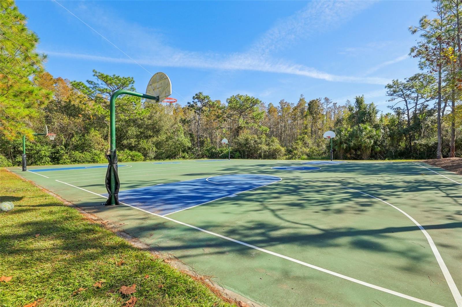 31234 CLARIDGE PL, WESLEY CHAPEL, FL, 33543