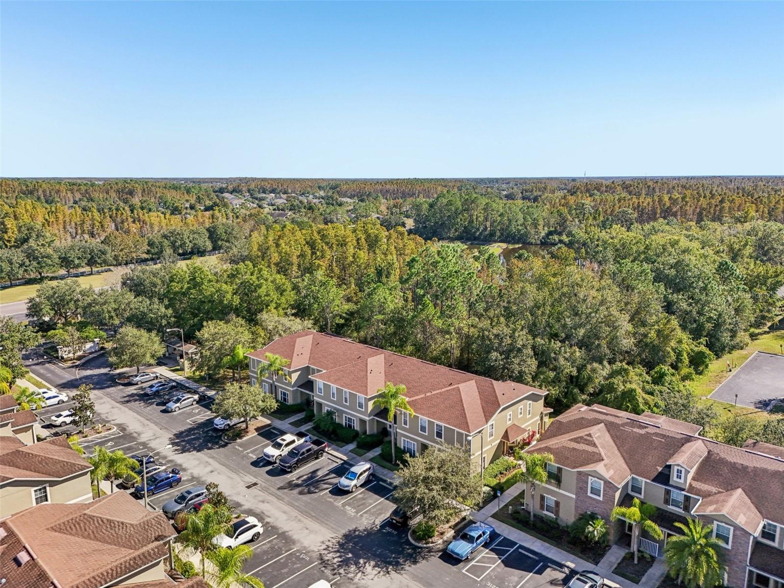 31234 CLARIDGE PL, WESLEY CHAPEL, FL, 33543