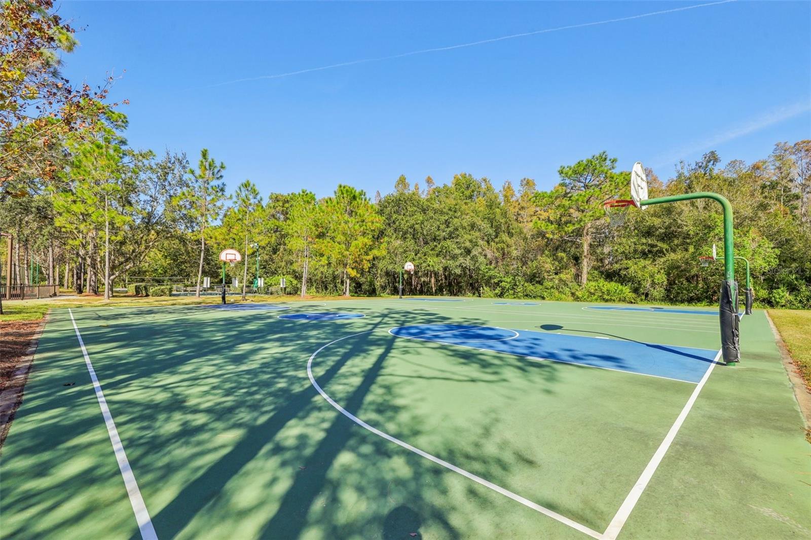 31234 CLARIDGE PL, WESLEY CHAPEL, FL, 33543