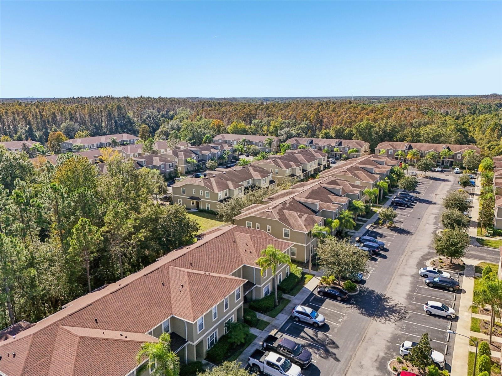 31234 CLARIDGE PL, WESLEY CHAPEL, FL, 33543