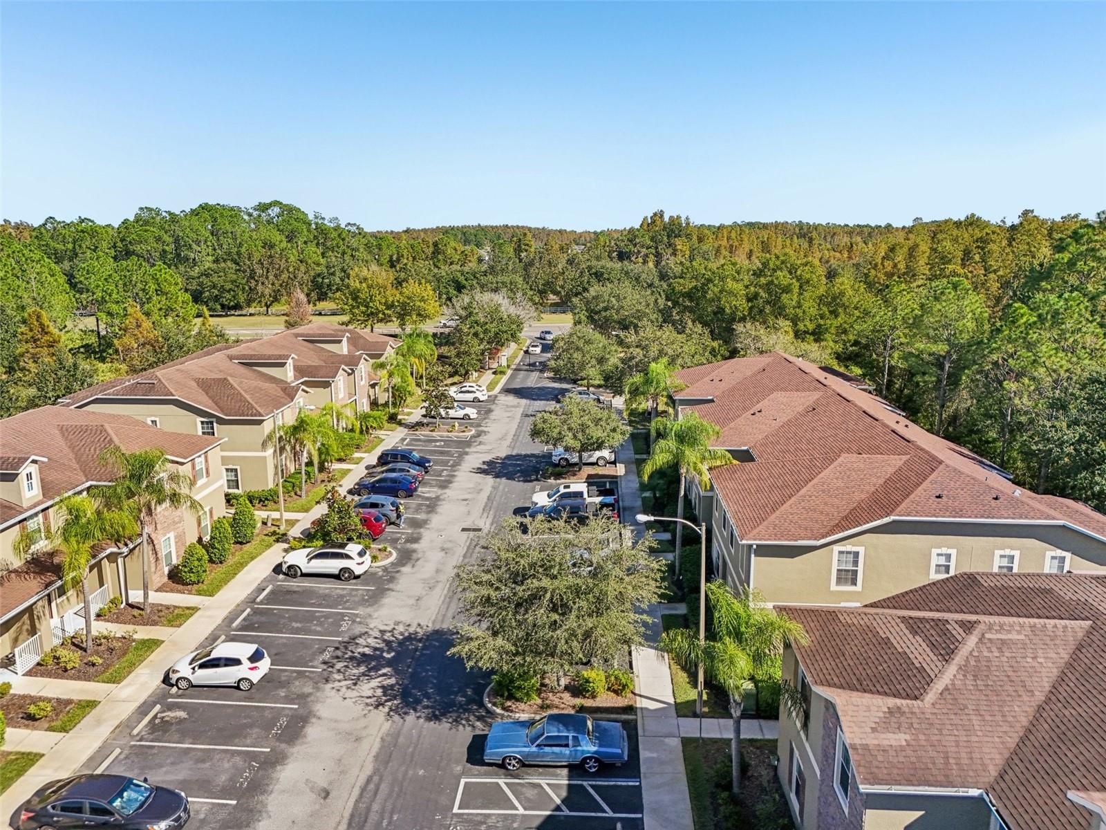 31234 CLARIDGE PL, WESLEY CHAPEL, FL, 33543