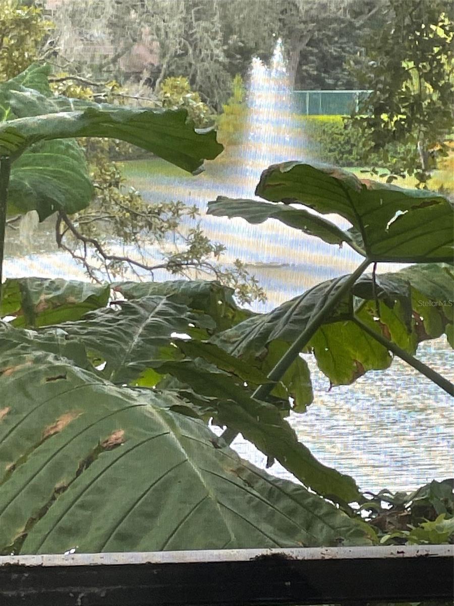 1926 WHISPERING WAY, TARPON SPRINGS, FL, 34689