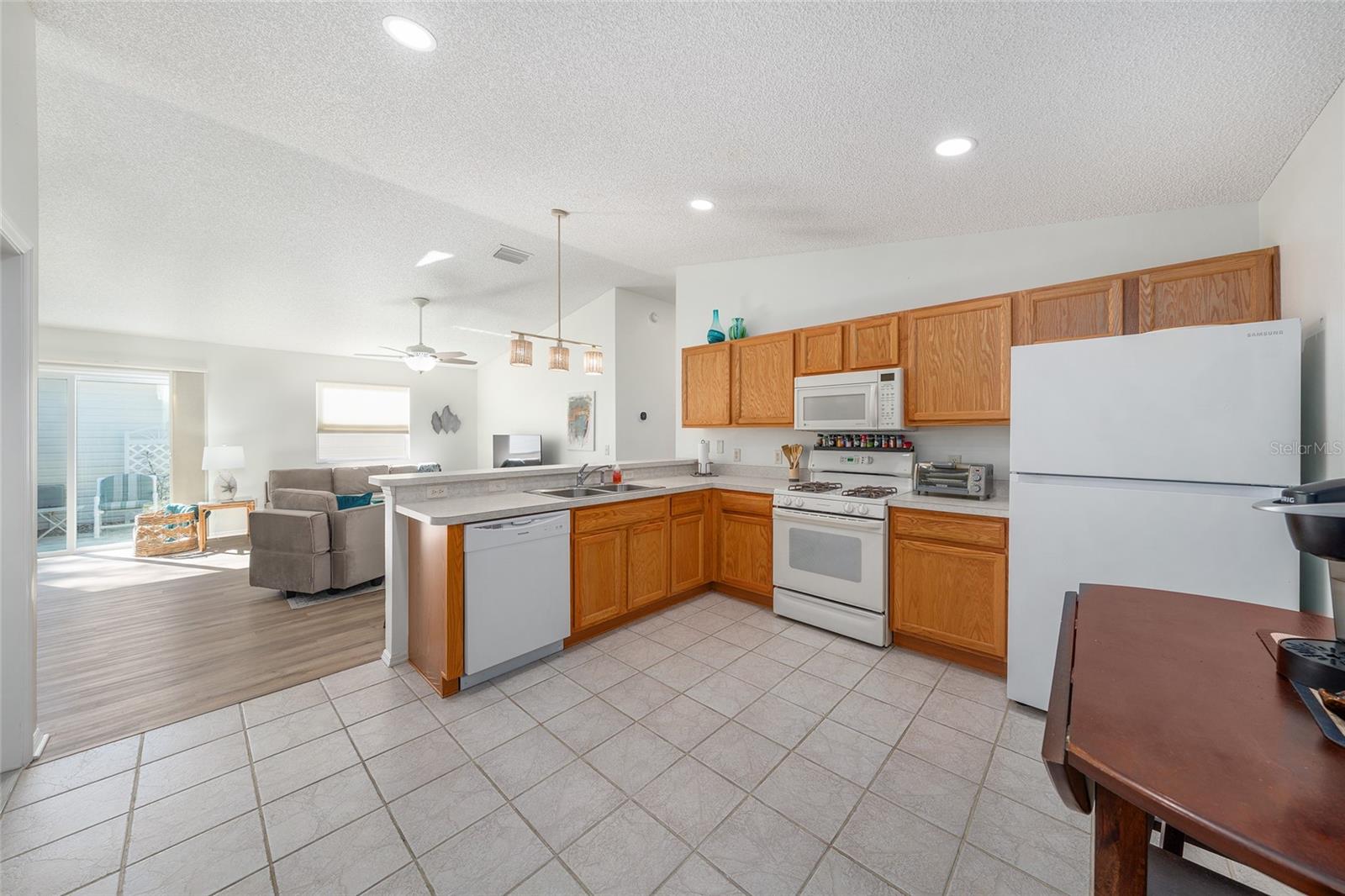 16966 SE 94TH SUNNYBROOK CIR, THE VILLAGES, FL, 32162