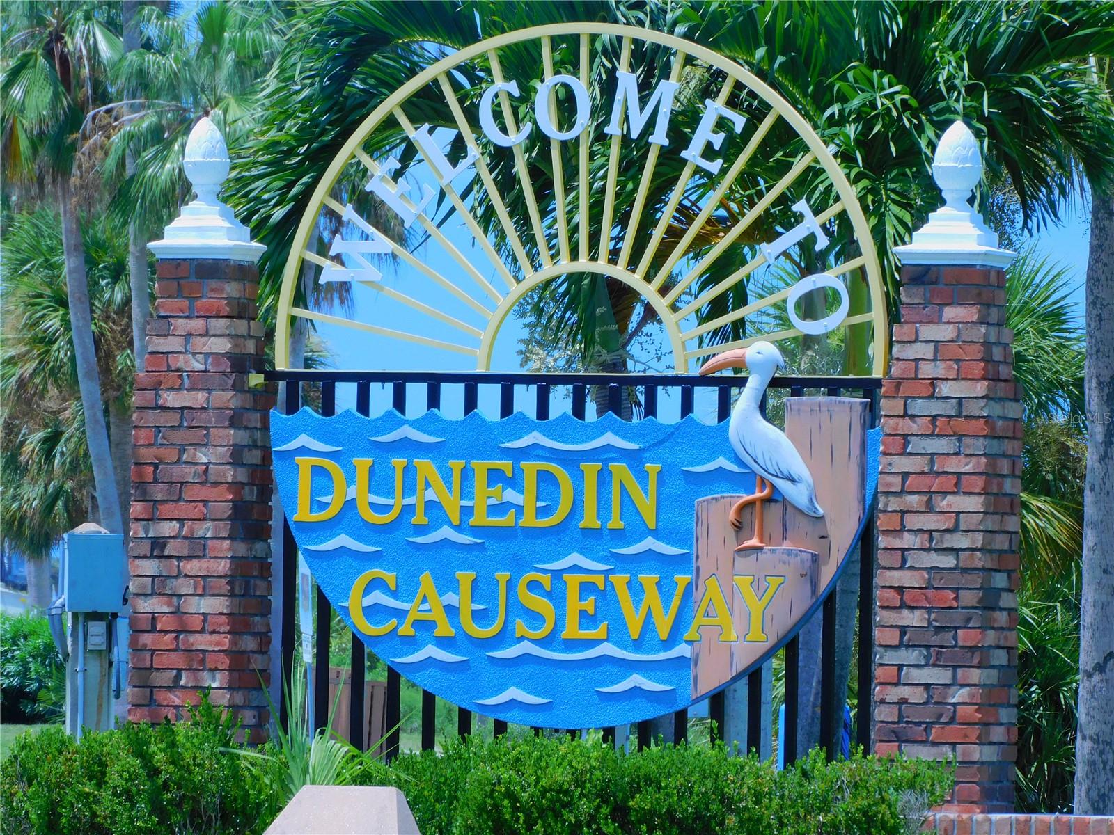 9 HAIG PL #104, DUNEDIN, FL, 34698