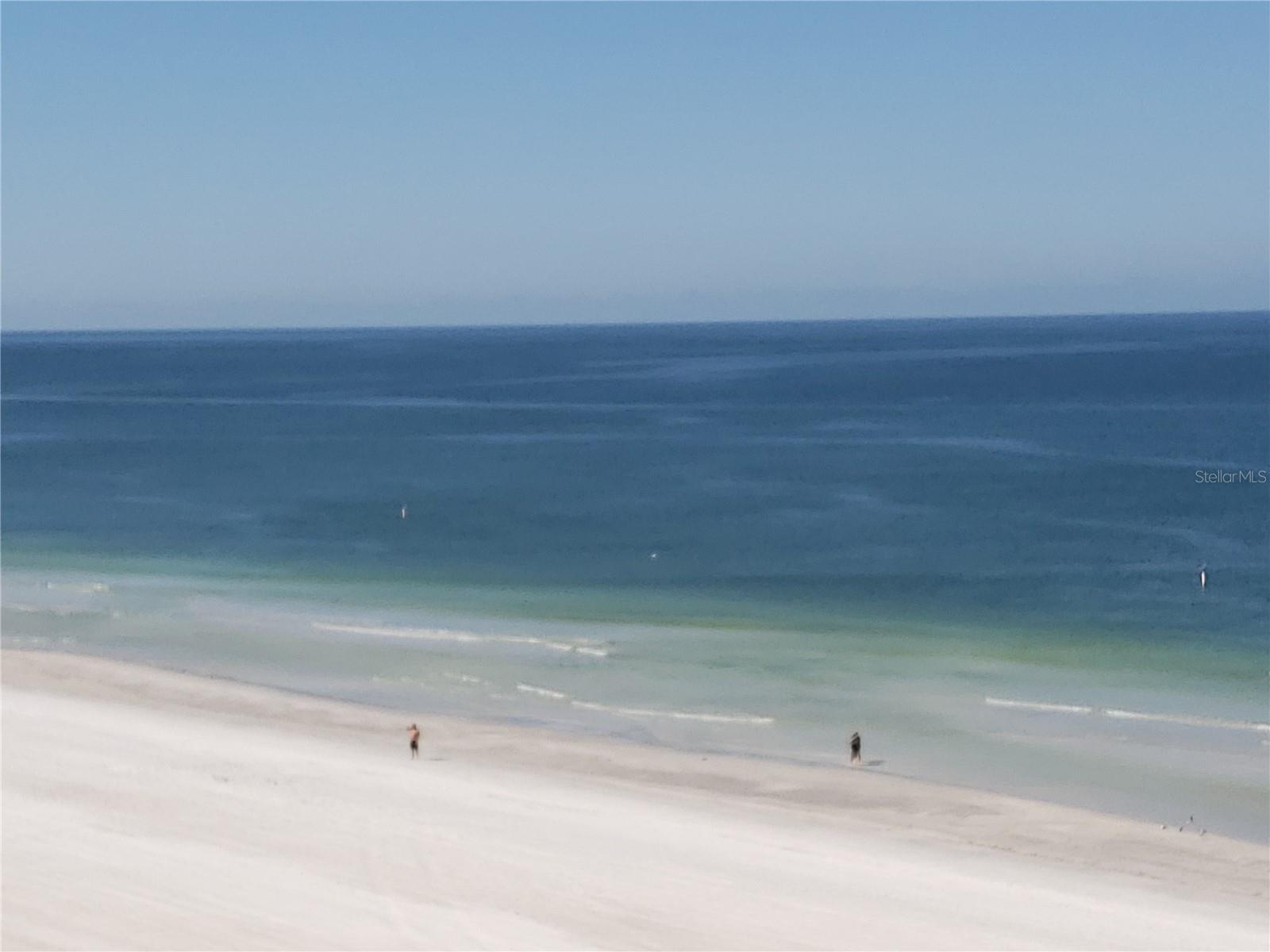 1390 GULF BLVD #804, CLEARWATER BEACH, FL, 33767