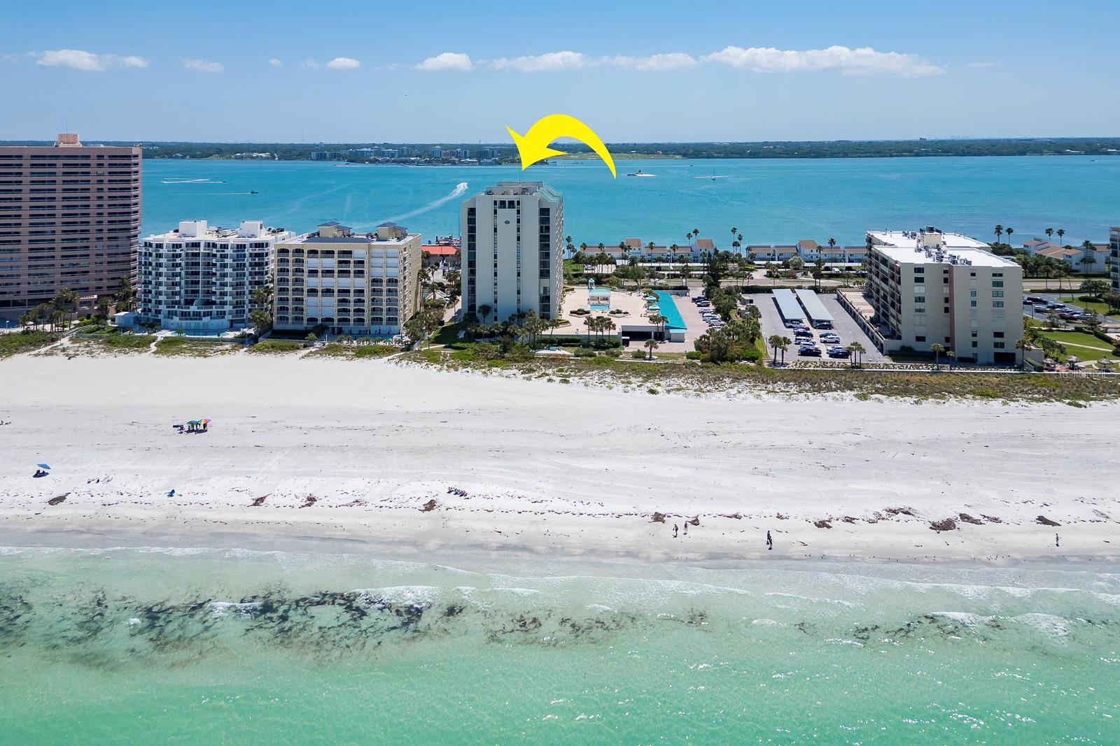 1390 GULF BLVD #804, CLEARWATER BEACH, FL, 33767