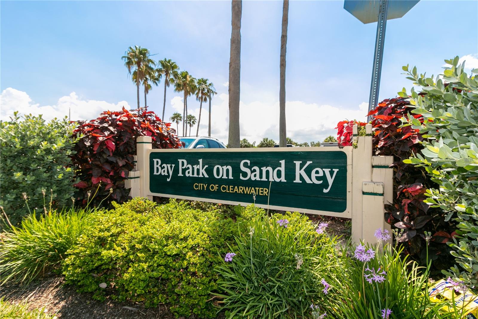 1390 GULF BLVD #804, CLEARWATER BEACH, FL, 33767
