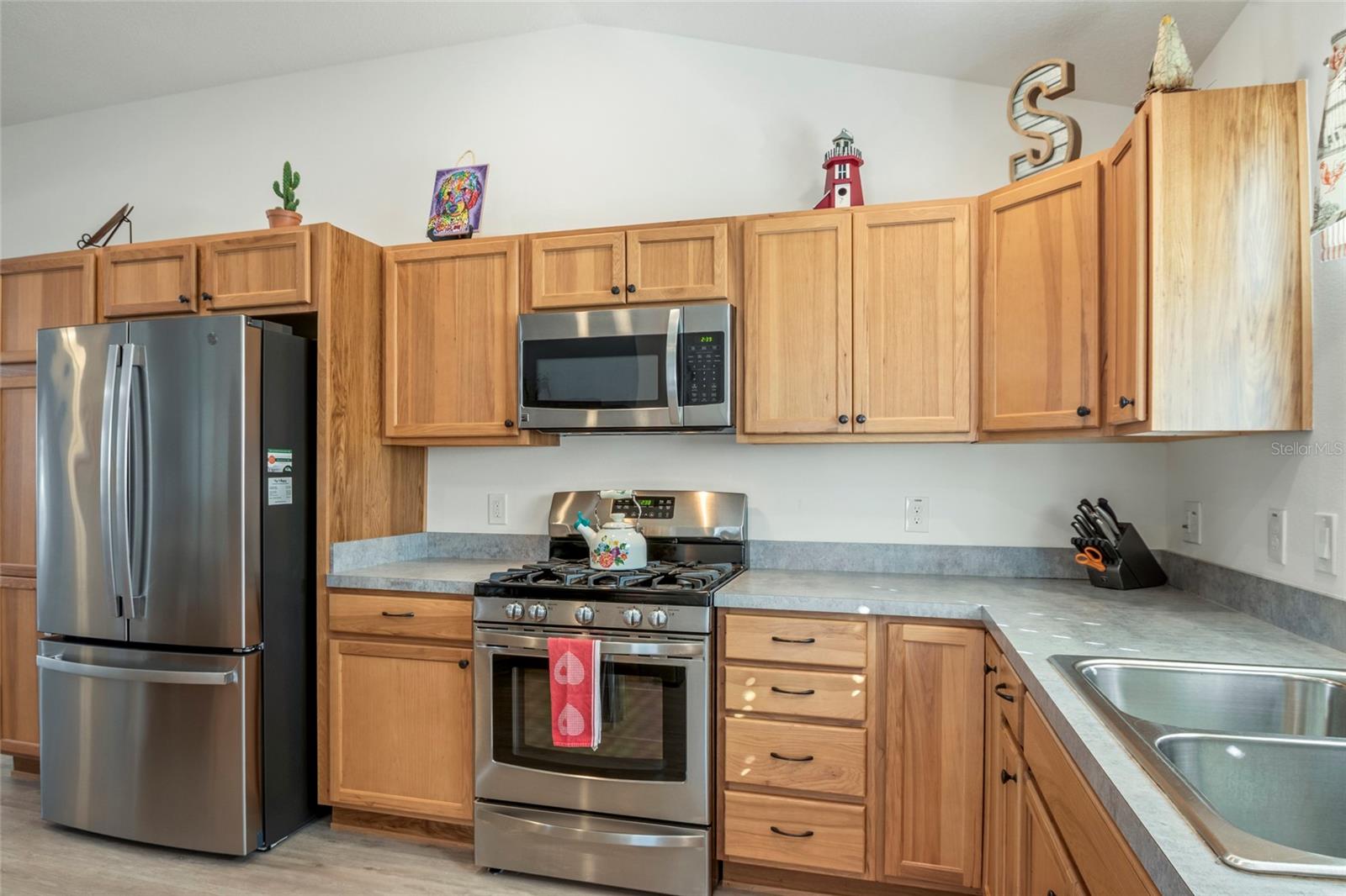 3102 SWEETGUM ST, THE VILLAGES, FL, 32163