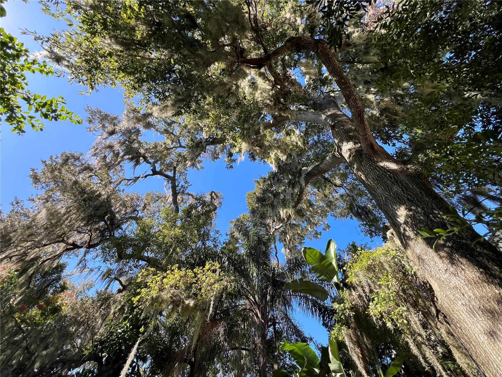 1055 CHEROKEE AVE, WINTER PARK, FL, 32789