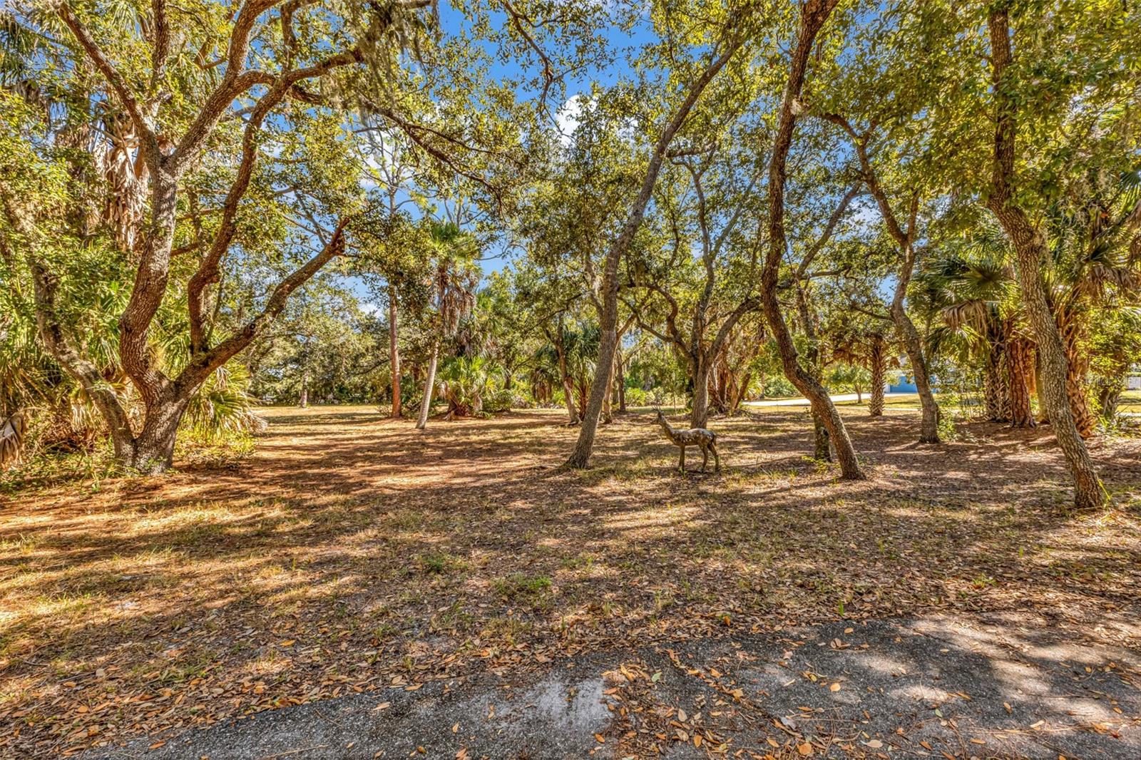 24581 NOVA LN, PUNTA GORDA, FL, 33980