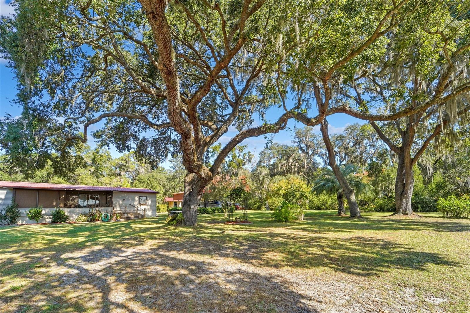 21260 & 21280 NE 146TH PL, FORT MC COY, FL, 32134