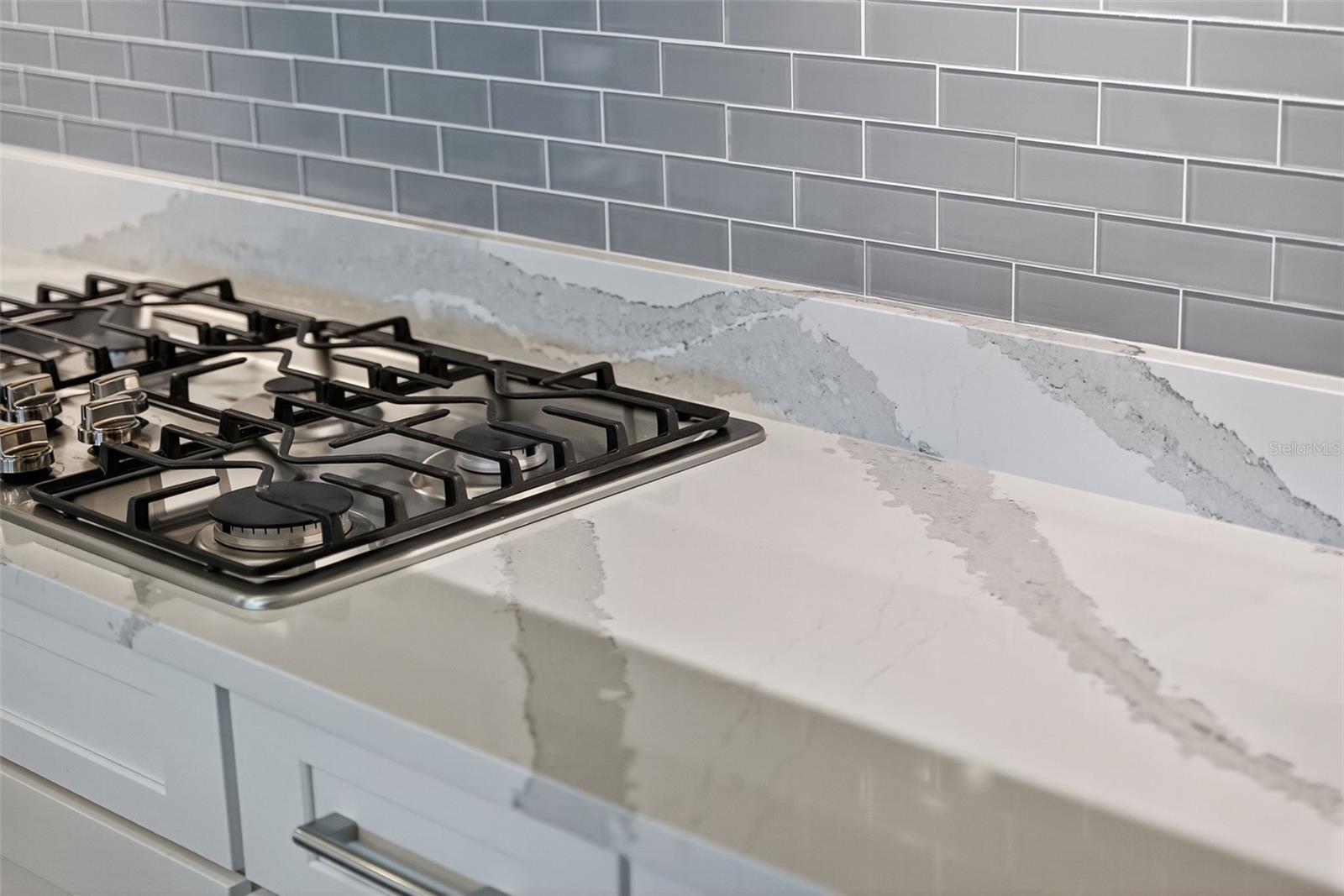 3679 SANTA CATERINA BLVD, BRADENTON, FL, 34211