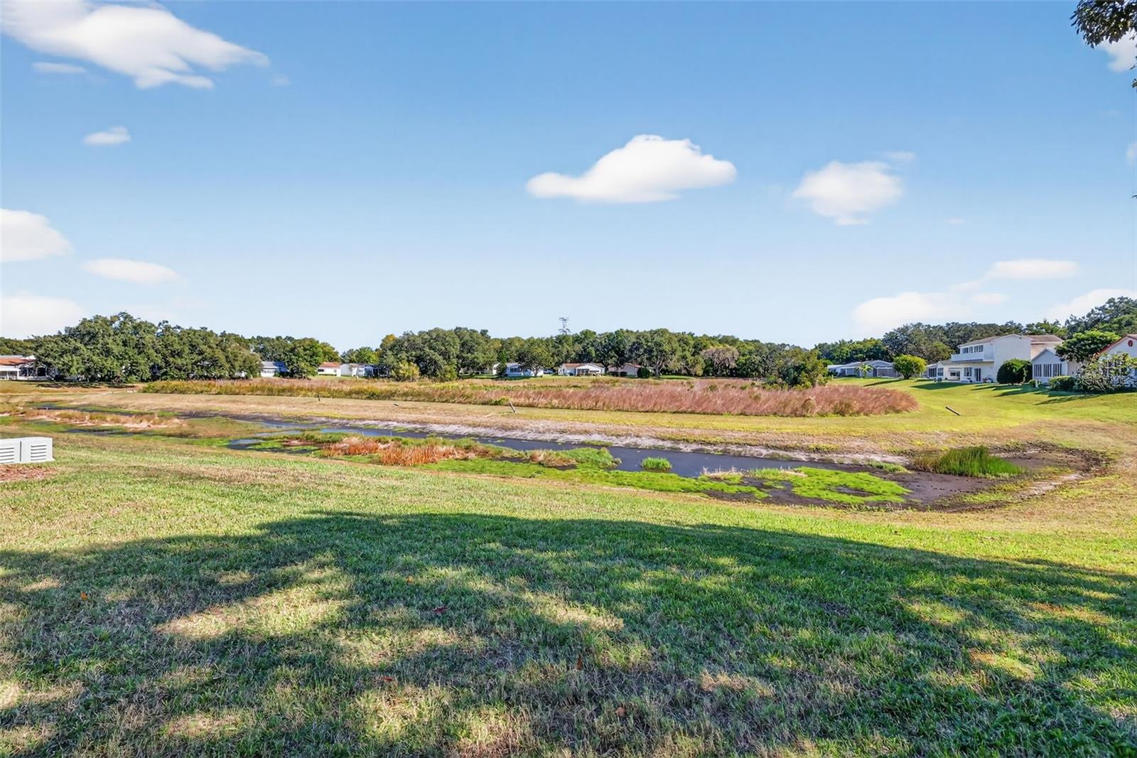 203 MODESTO RD, THE VILLAGES, FL, 32159