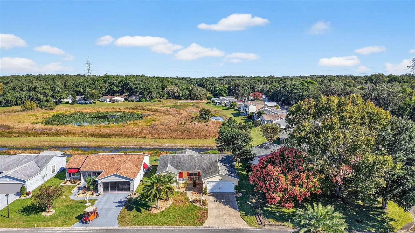 203 MODESTO RD, THE VILLAGES, FL, 32159