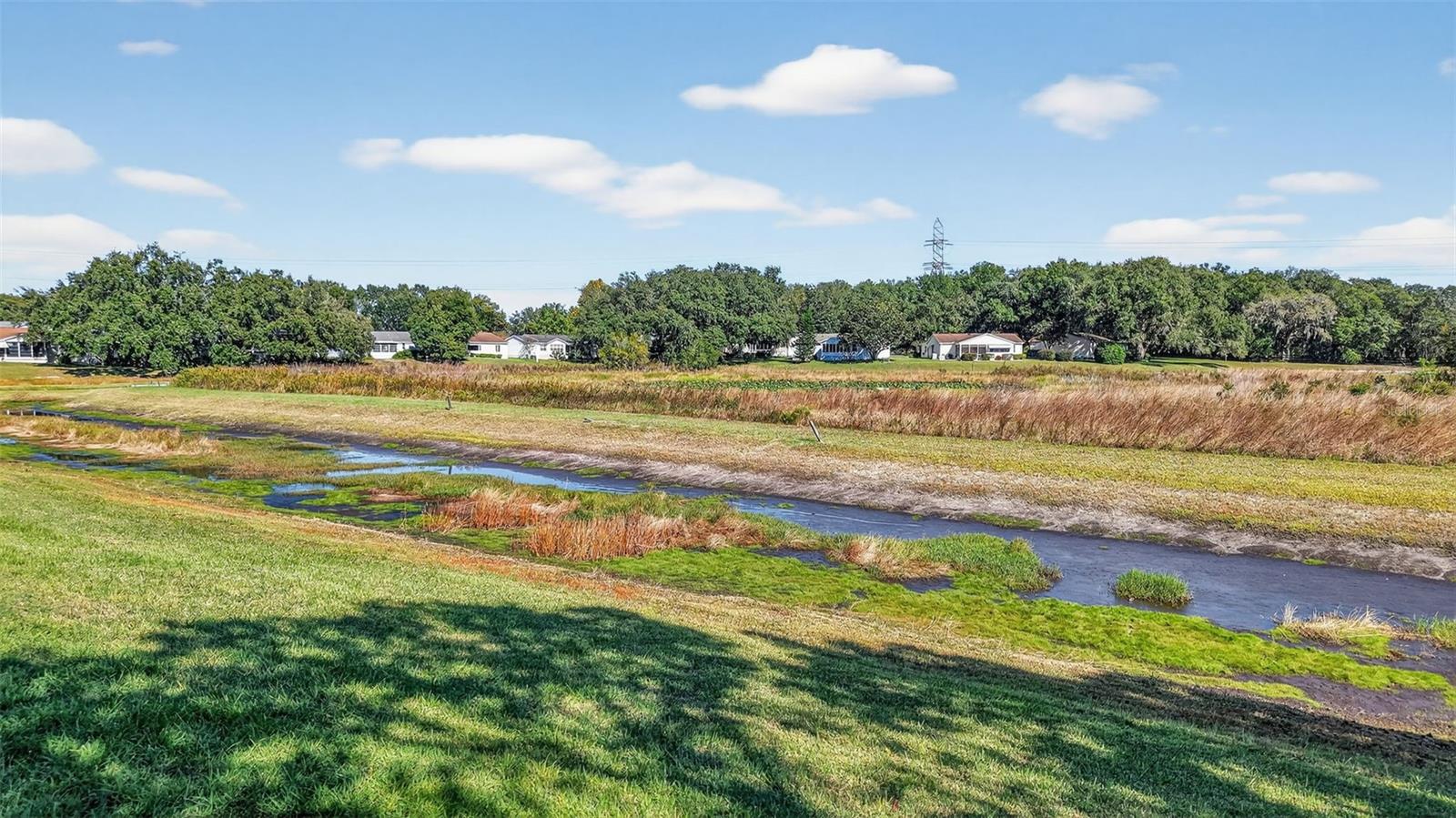 203 MODESTO RD, THE VILLAGES, FL, 32159