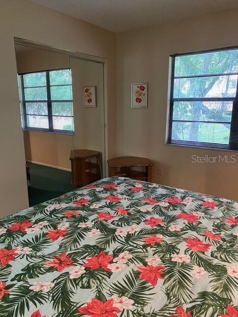 3034 EASTLAND BLVD #D206, CLEARWATER, FL, 33761