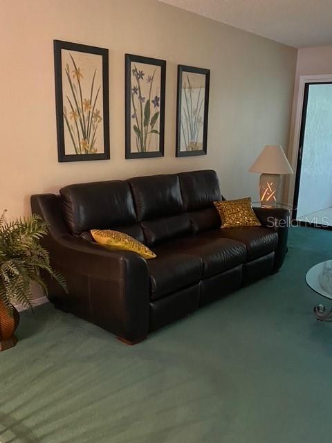 3034 EASTLAND BLVD #D206, CLEARWATER, FL, 33761