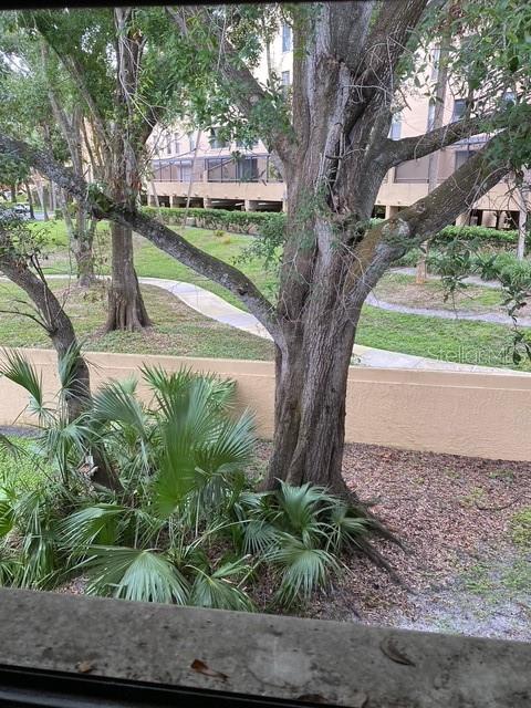 3034 EASTLAND BLVD #D206, CLEARWATER, FL, 33761