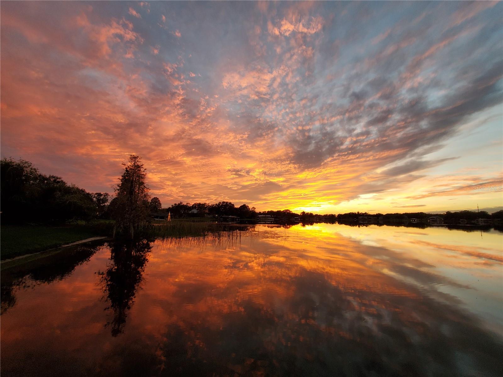 157 LAKE ROY DR, WINTER HAVEN, FL, 33884